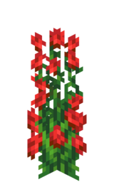 Розовый куст.png